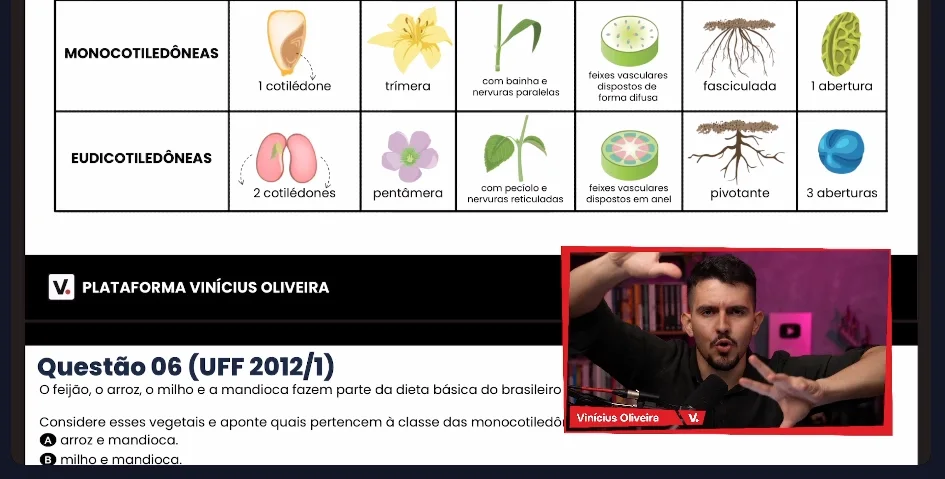 Aulas teóricas